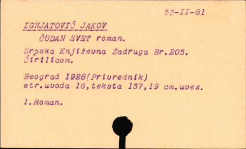 Čudan svet; roman.